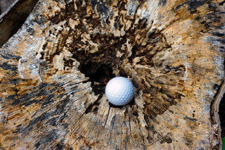 Do You Know The Rules?